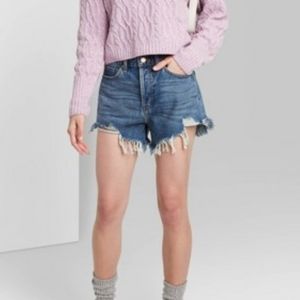 Wild Fable High Waisted Shorts